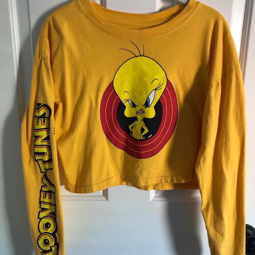 Long sleeve crop top shirt